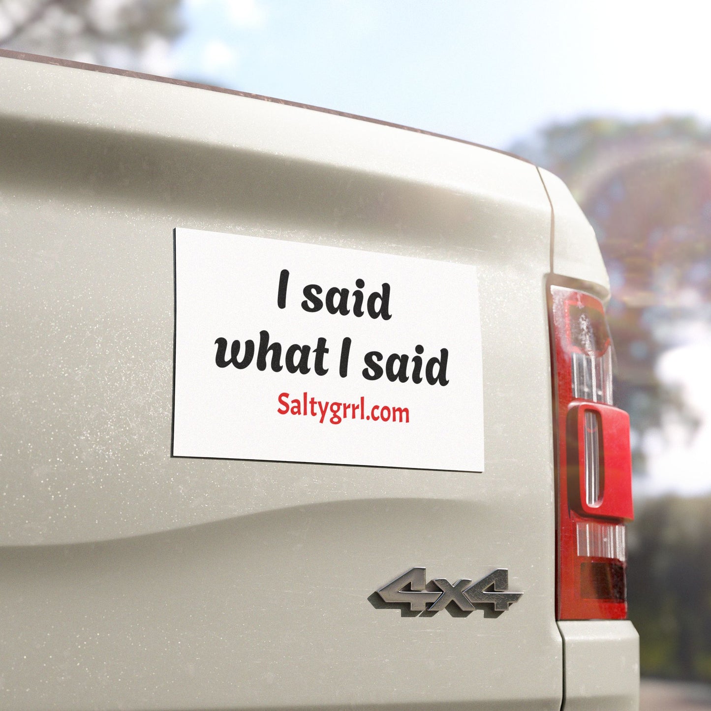 Car Magnet - 'I said what I said' - Statement Decal for Women