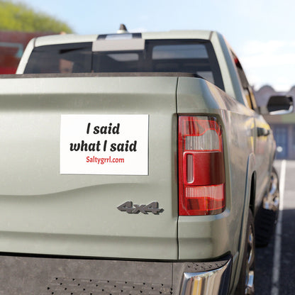 Car Magnet - 'I said what I said' - Statement Decal for Women